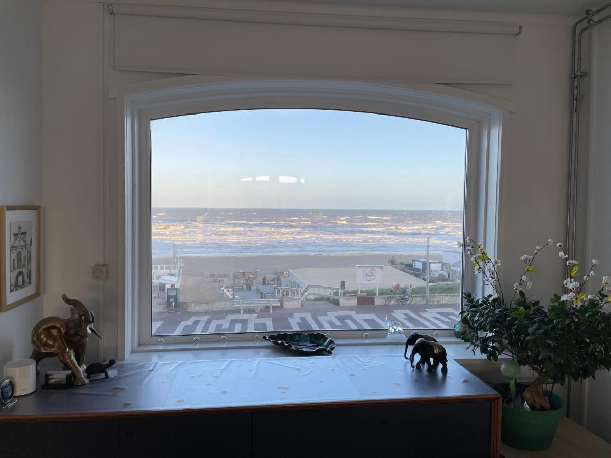 Beach Apartments Seaview Plus Parking Zandvoort Bagian luar foto